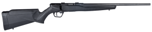 SAVAGE B22F 22LR