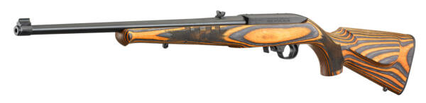 RUGER 10/22 SPORTER 22LR TALO DISTRIBUTOR EXCLUSIVE - Image 3